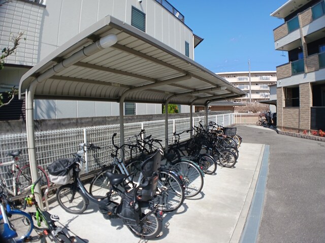 パーシモン その他7