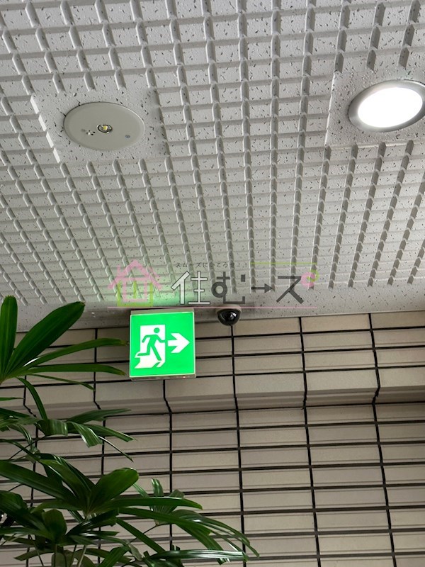 パークサイド上本町駅前 その他外観3