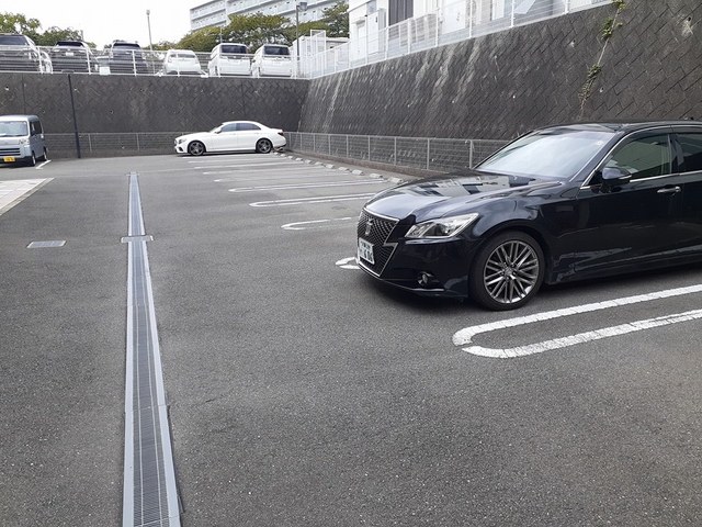 レディバードポイントＡ その他6