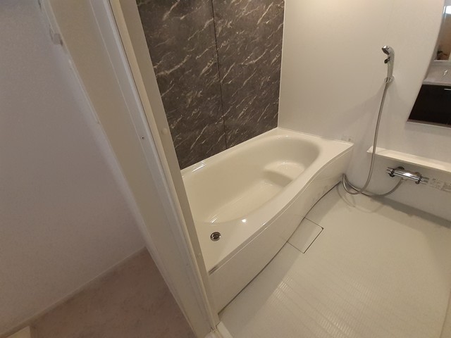 パレス藤阪東 風呂画像