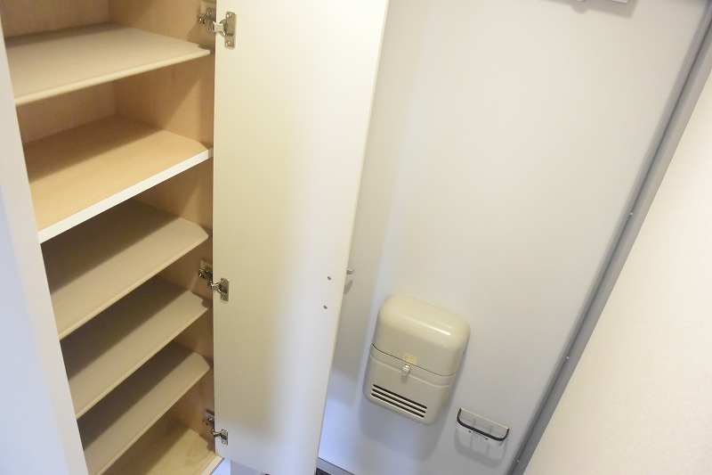 レオネクストリバーサイドⅠ 玄関