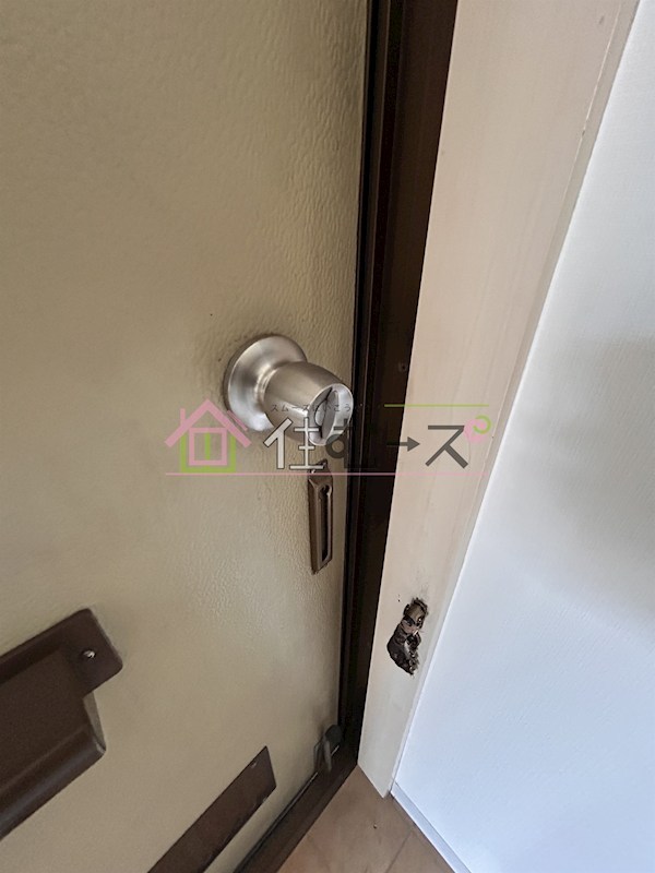 ベルベデーレ その他2