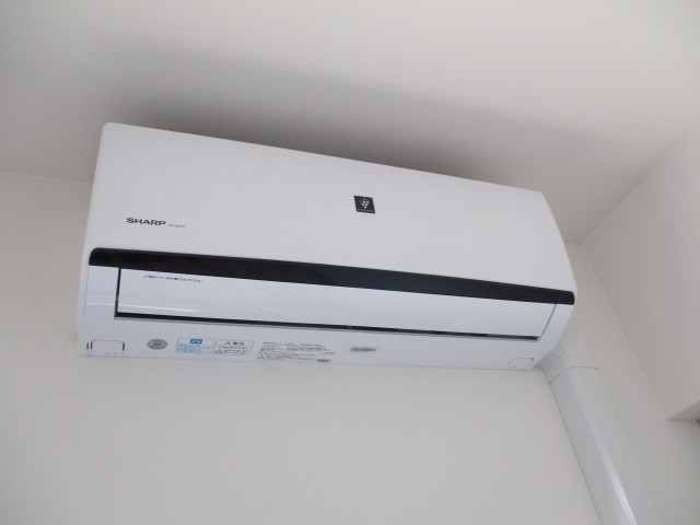 Shamrock・N その他2