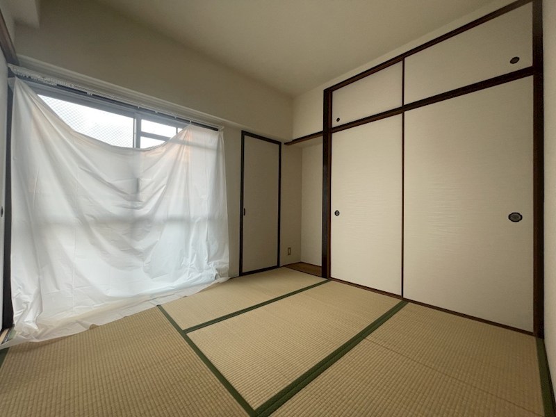 シルフィード その他7