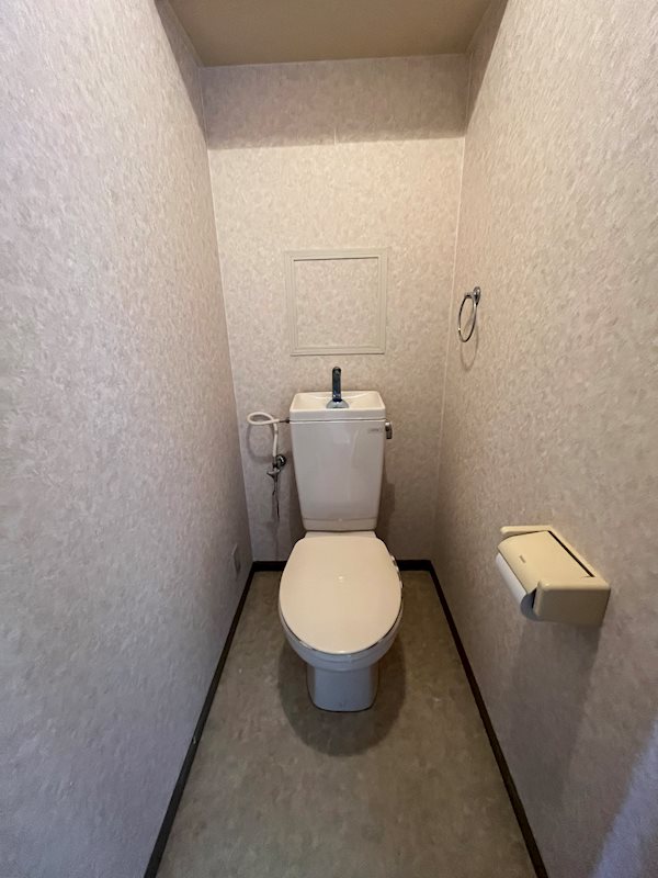 ミレニアム その他1