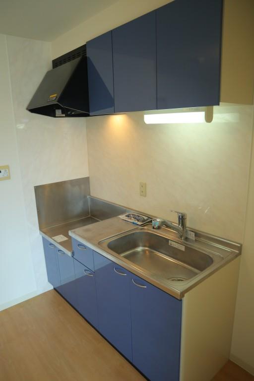 サクシード胤 キッチン