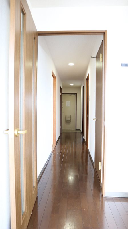 プレミール28 その他16