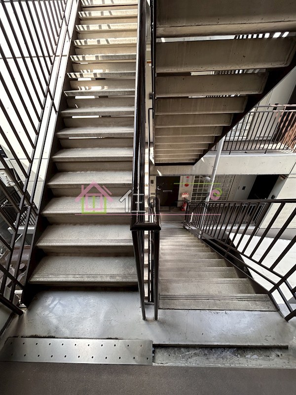 ルーブル その他外観6