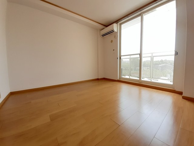 ゴールドクレスト その他1