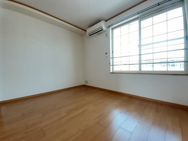 ゴールドクレスト その他3