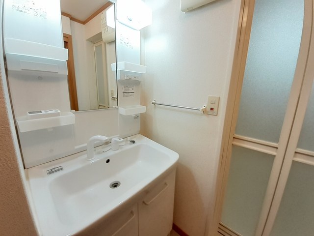 ゴールドクレスト その他4