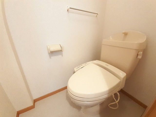 ゴールドクレスト その他5