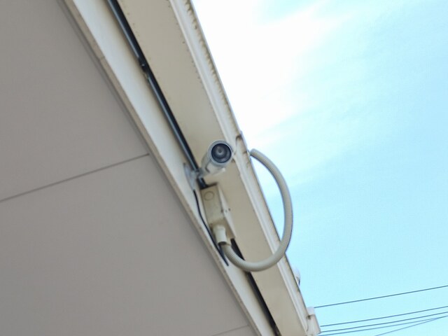 ゴールドクレスト その他6