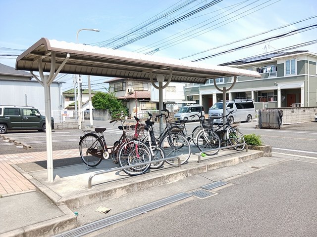 ゴールドクレスト その他7