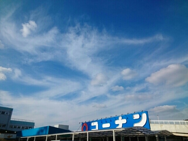 辻野タウンハイツ その他外観3