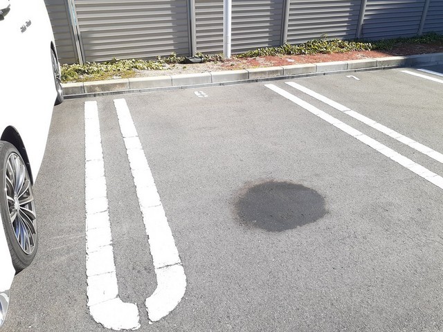 アヴニール その他7