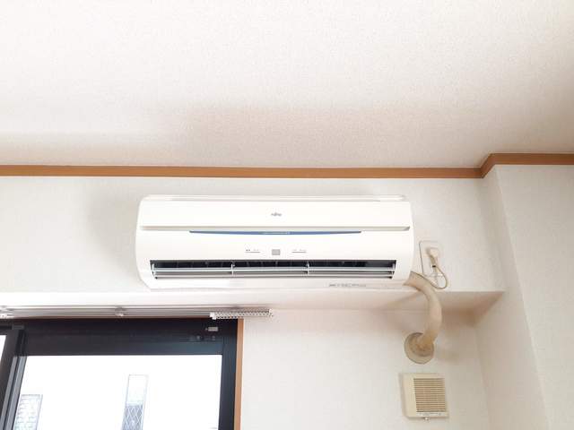 プラシード その他6