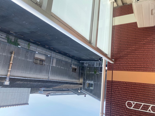 レオネクストキッショー３ その他10