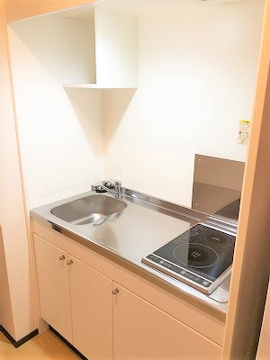 クレイノフェリス その他8