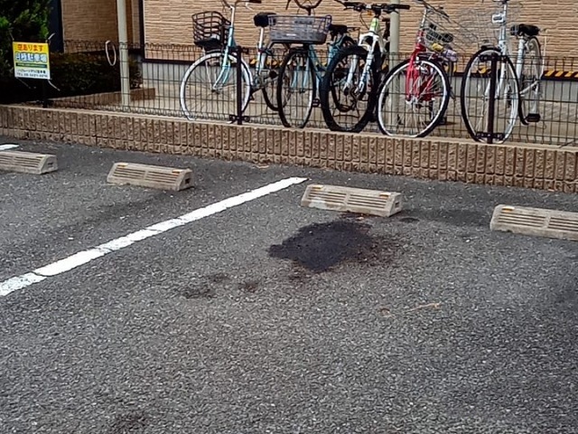 レオパレスハグレー　トマツⅡ その他6