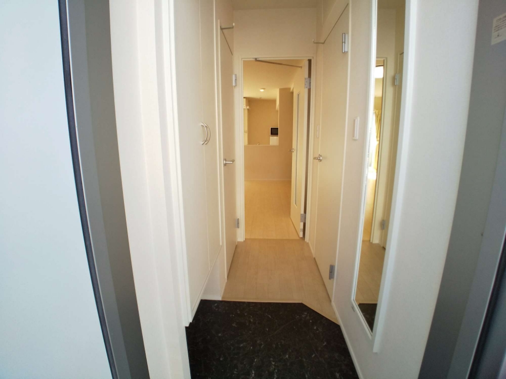 レオネクストケイスピリット桜坂 玄関