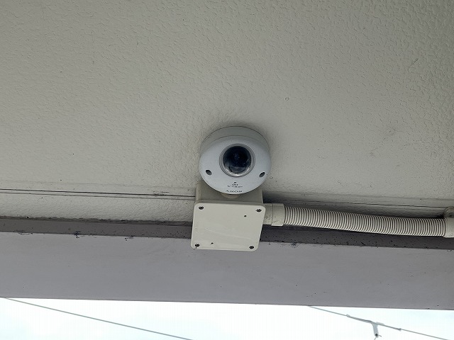 レオパレスアニマリート その他6