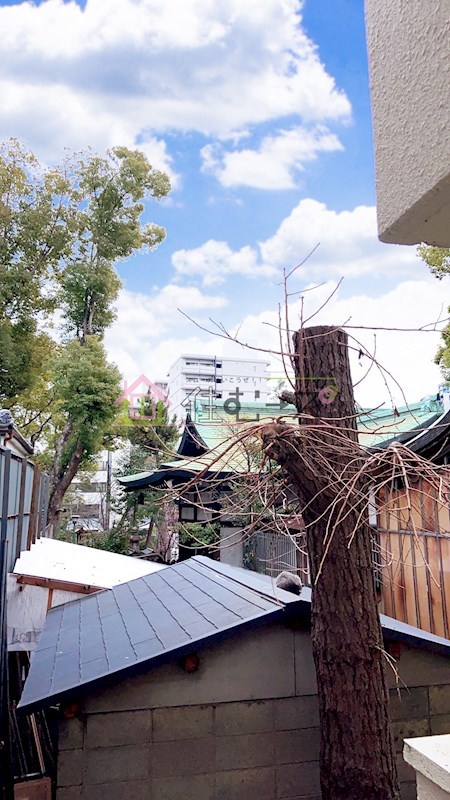 ラパンジール天王寺 その他2