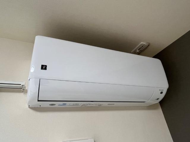 アシエルタ・アジャート その他6