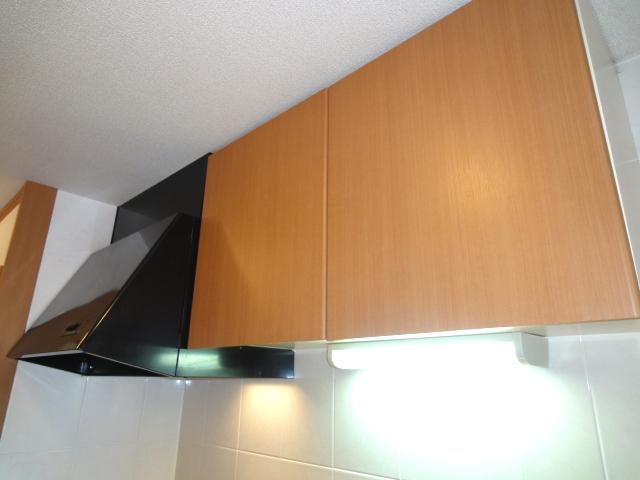 エス・スカイ（S・SKY） その他6