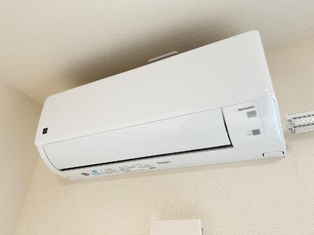 カンパニュール その他10