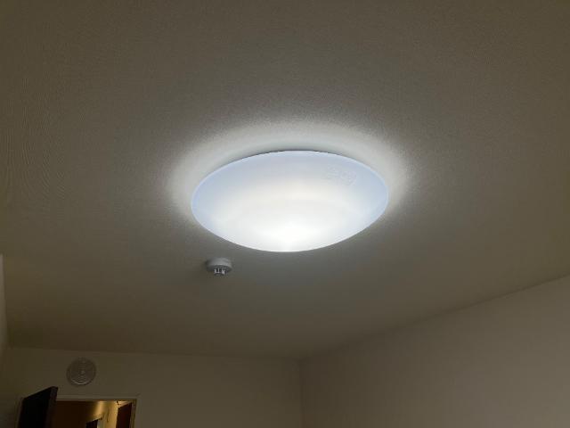 カンパニュール その他16