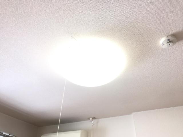 津田くにみ谷&amp;rsquo;08 その他15