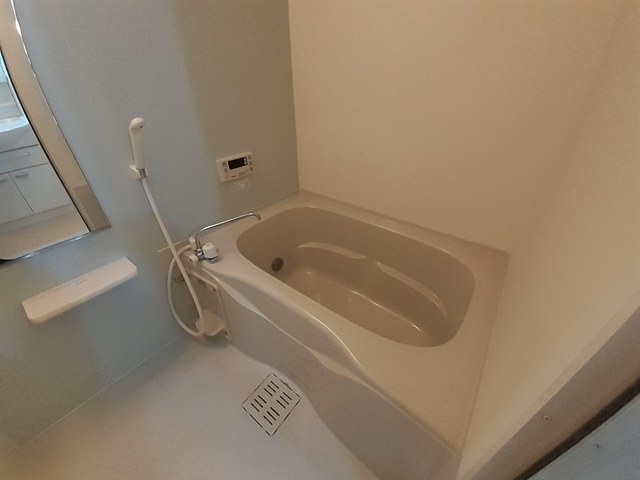 プラシード　カーサⅠ 風呂画像