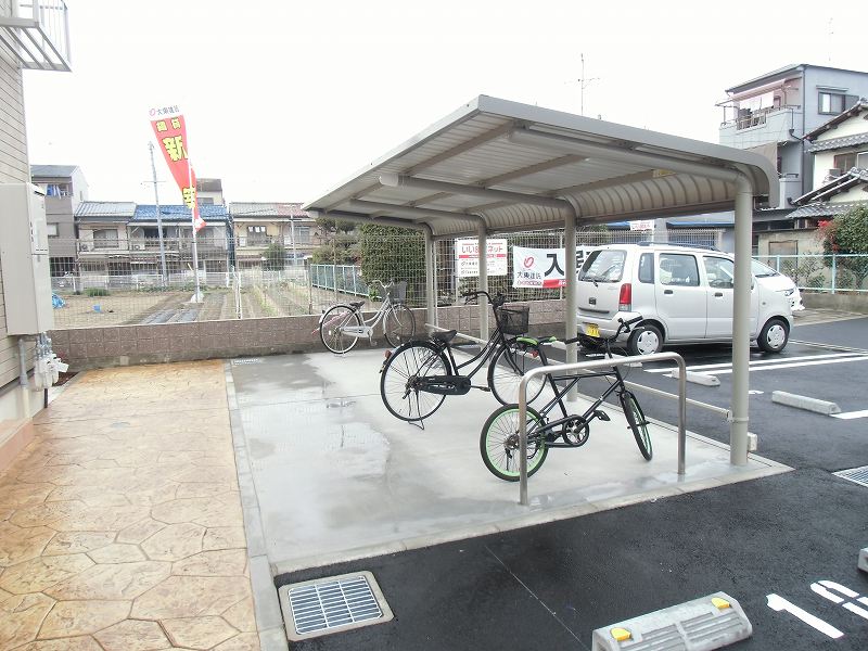 パイン・ツリー その他8