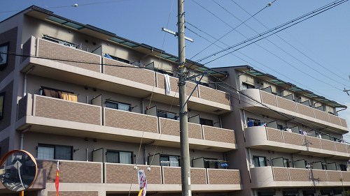 エレガンシア金剛 外観