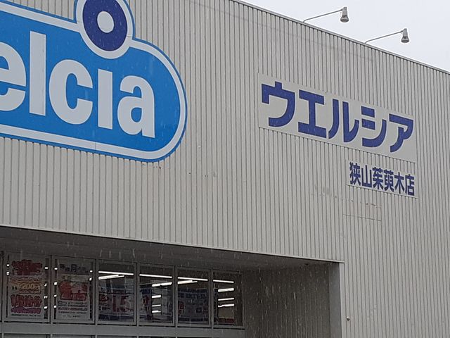 エレガンシア金剛 その他外観2