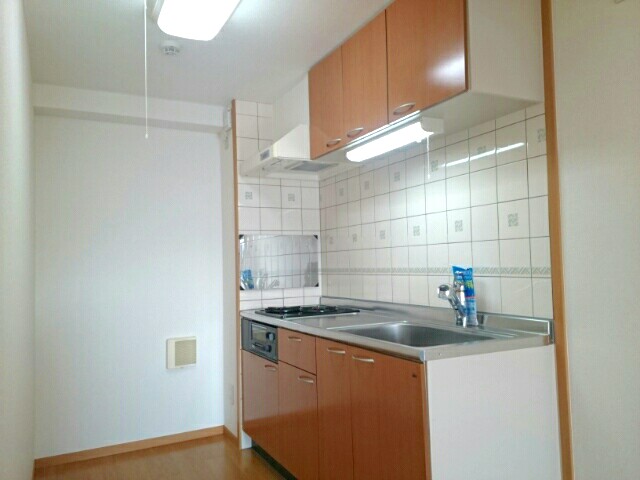 エレガンシア金剛 キッチン