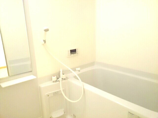 エレガンシア金剛 風呂画像