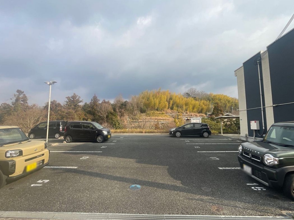 レオネクストルーポ その他3