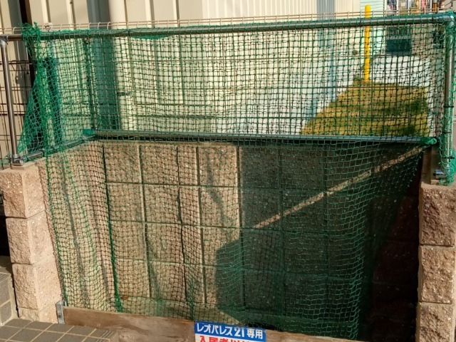 レオネクスト金楽寺 その他3