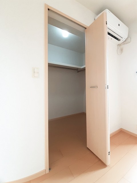 コスモス　Ｂ その他3