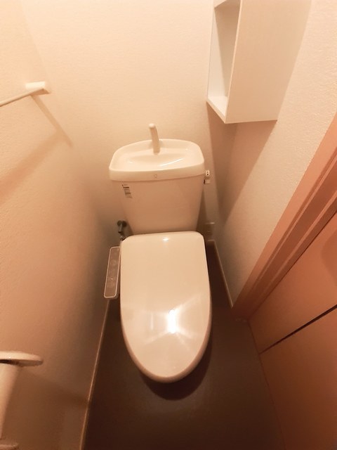 コスモス　Ｂ その他4