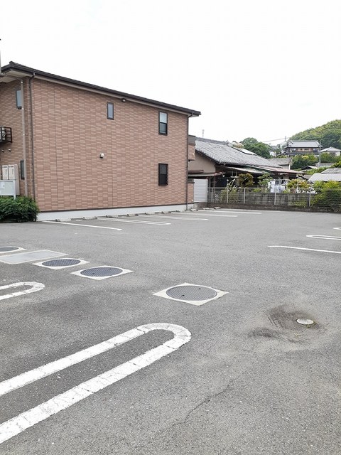 コスモス　Ｂ その他5