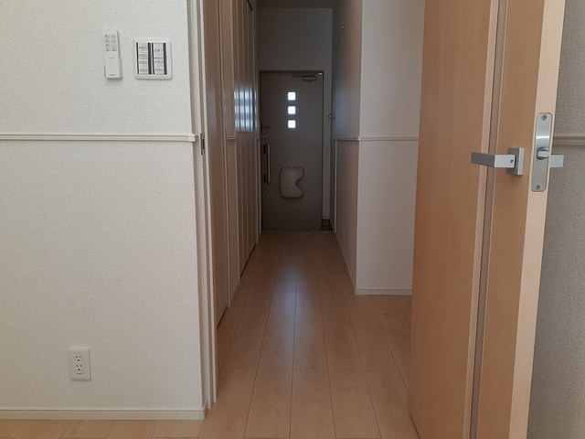 メンゼン　Ｗ その他4