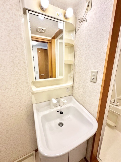 クノスペン その他1