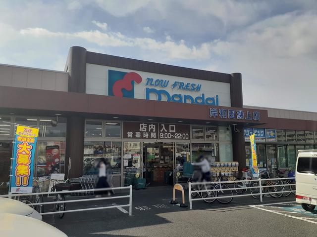 メゾフォルテⅤ その他外観2