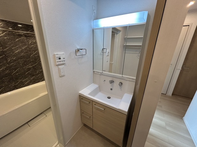 ルピナスＨｏｓｈｉｄａ その他1