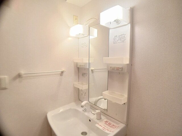 クリプトメリア　アヴェニュ－ その他1