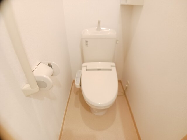 クリプトメリア　アヴェニュ－ その他2