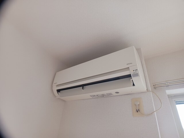 クリプトメリア　アヴェニュ－ その他3